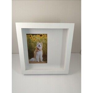 Pet Memorial Shadowbox Display White Frame  9” x 9"